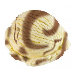 Vanilla Fudge - 1 Gallon Non Dairy